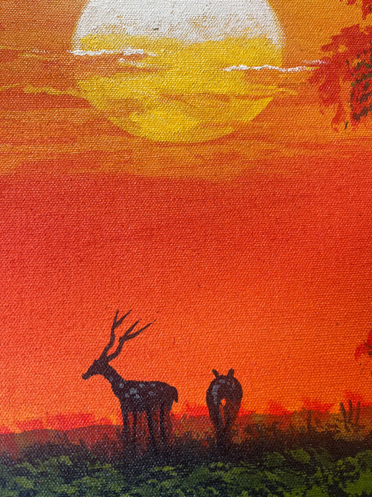 Sunset Wilderness Reflections The Palace of Hues