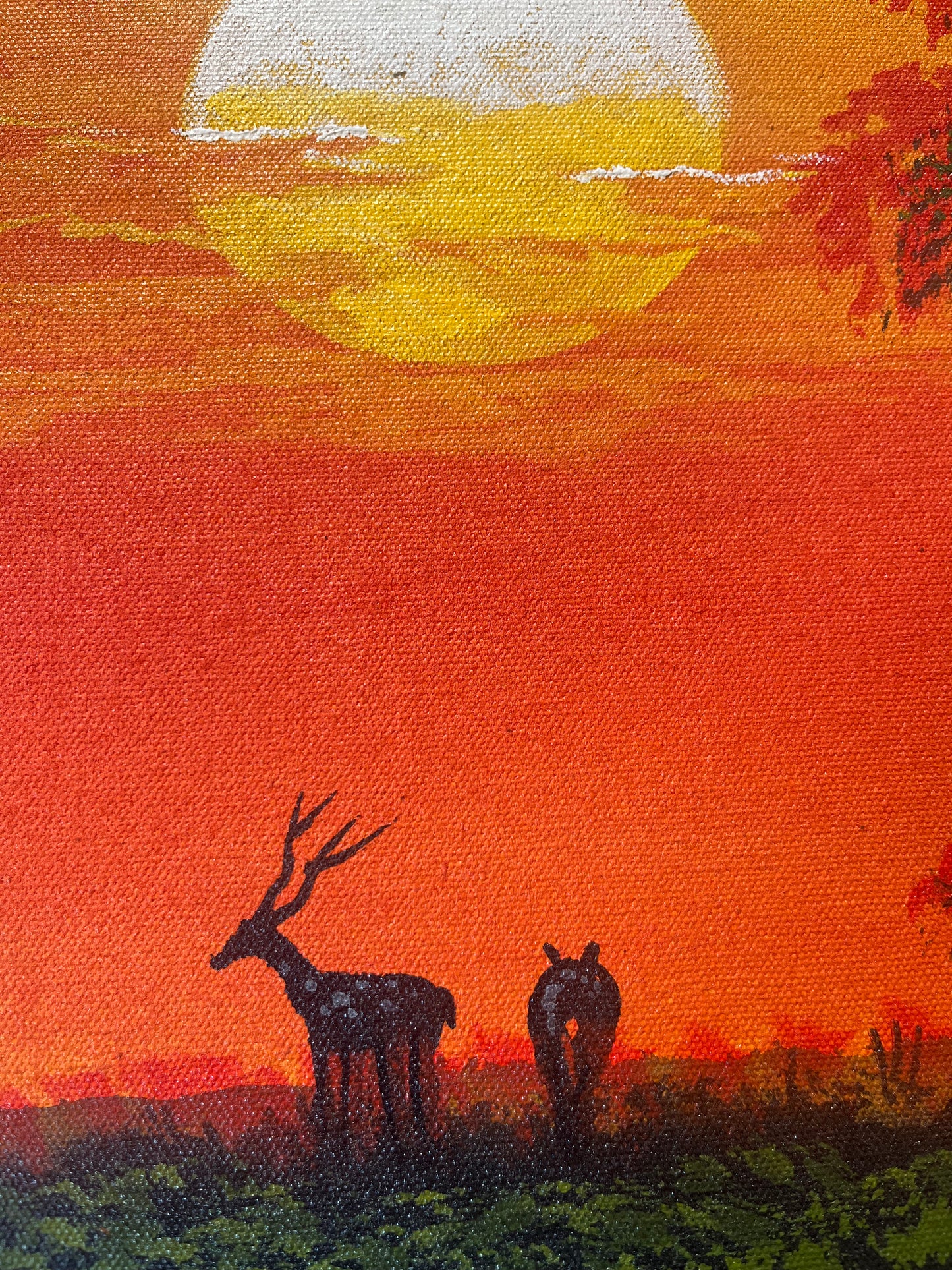 Sunset Wilderness Reflections The Palace of Hues