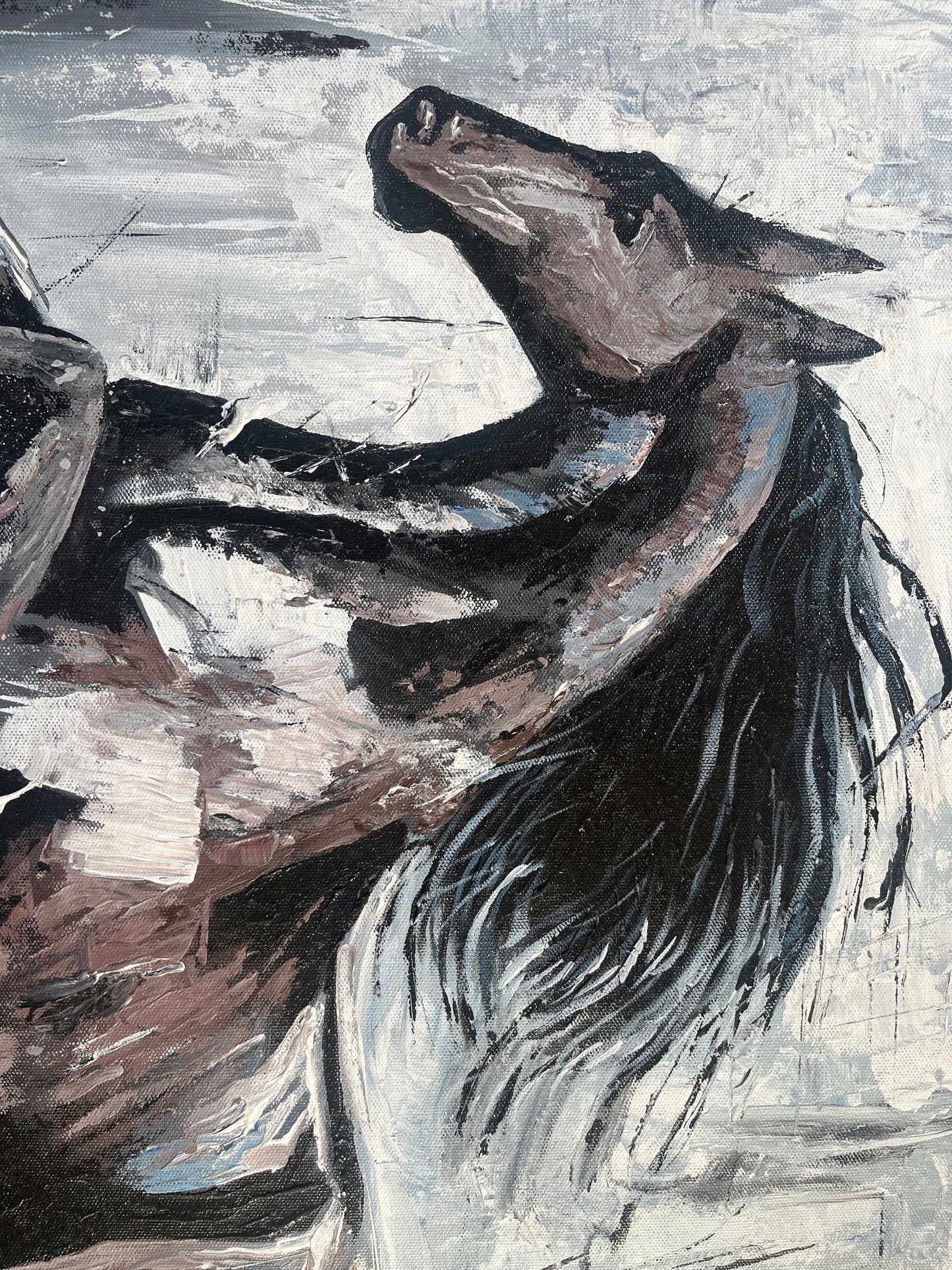 Wild Run The Palace of Hues