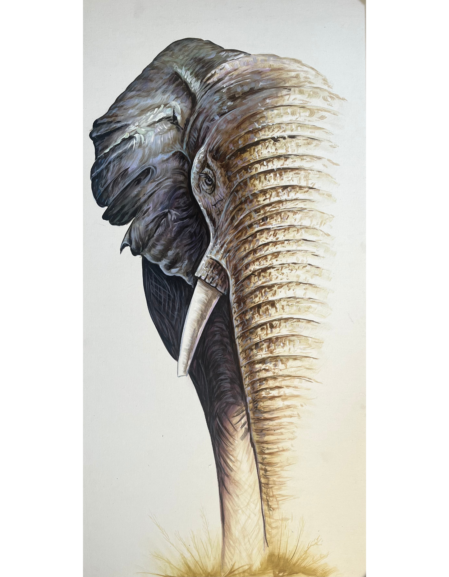 Majestic Silence The Palace of Hues