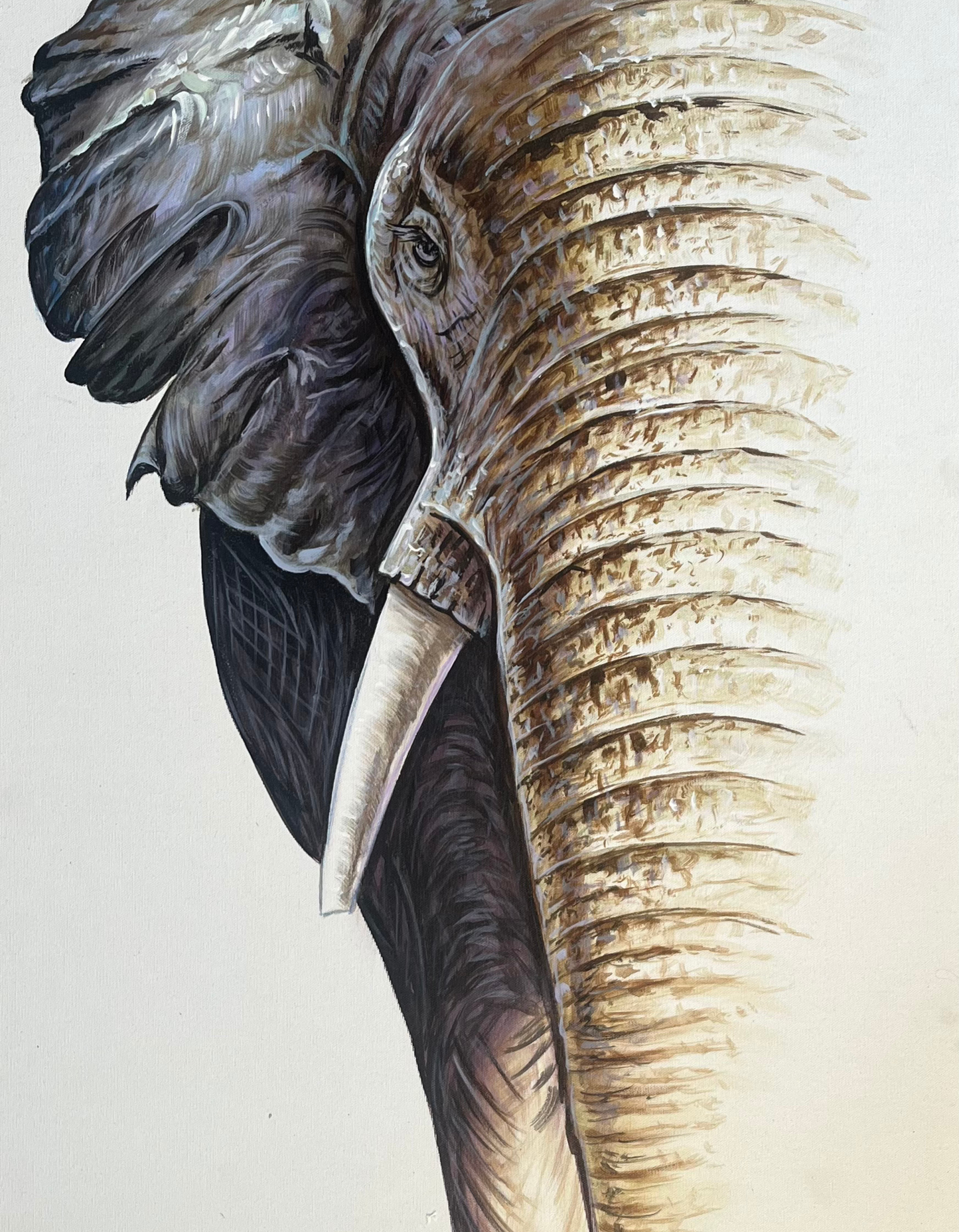 Majestic Silence The Palace of Hues