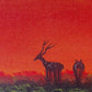 Sunset in Wilderness