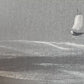 Stormbound Sails